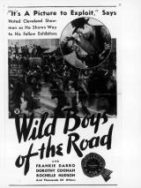 Превью постера #111767 к фильму "Дикие парни с дороги" (1933)