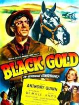 Превью постера #111909 к фильму "Черное золото" (1947)