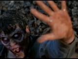 Превью кадра #101159 к фильму "Зловещие мертвецы 2" (1987)