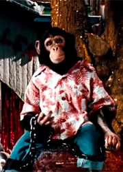 Шимпанзе Майкла Джексона станет героем биографического мультфильма