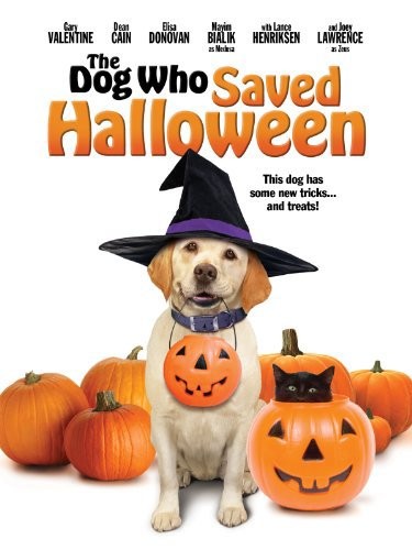 Собака которая спасла Хэллоуин: постер N129608