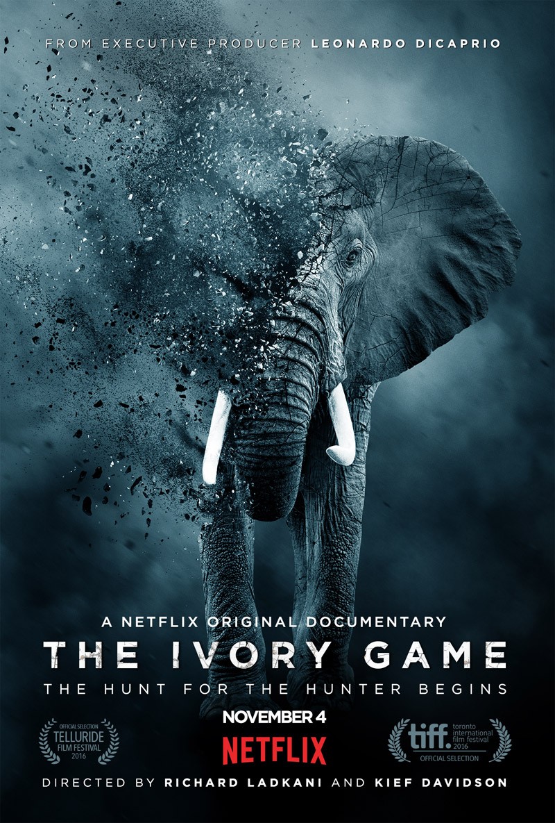 Игра цвета слоновой кости: постер N129788