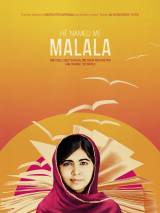 Превью постера #114999 к фильму "Он назвал меня Малала" (2015)