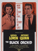 Превью постера #128445 к фильму "Черная орхидея" (1958)