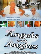 Превью постера #129399 к фильму "Ангелы с углами" (2005)