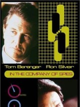 Превью постера #130174 к фильму "В компании шпионов" (1999)