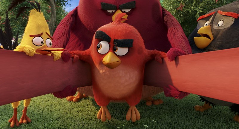 Angry Birds в кино: кадр N122173