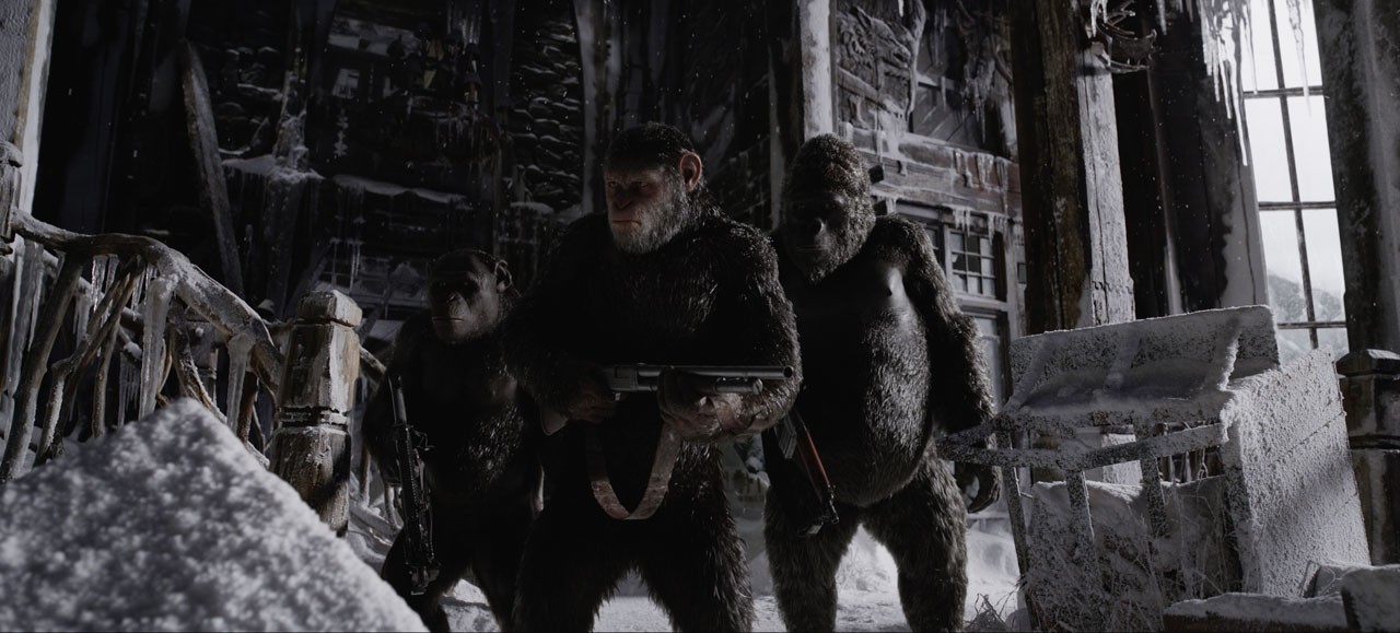 Планета обезьян: Война: кадр N131402