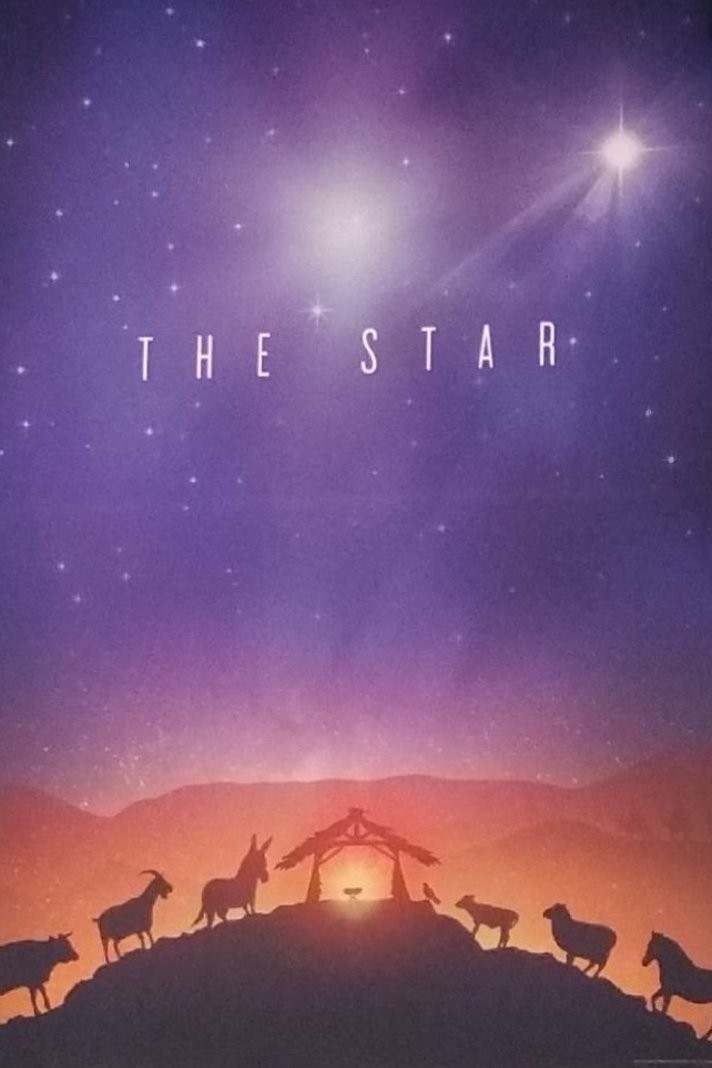 Путеводная звезда: постер N139087