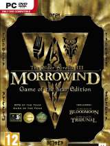 Превью обложки #135122 к игре "The Elder Scrolls III: Morrowind" (2002)