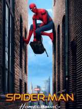 Превью постера #137542 к фильму "Человек-паук: Возвращение домой"  (2017)