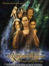 Превью постера #140180 к фильму "Свет в лесу" (2003)