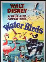 Превью постера #149810 к фильму "Водоплавающие" (1952)
