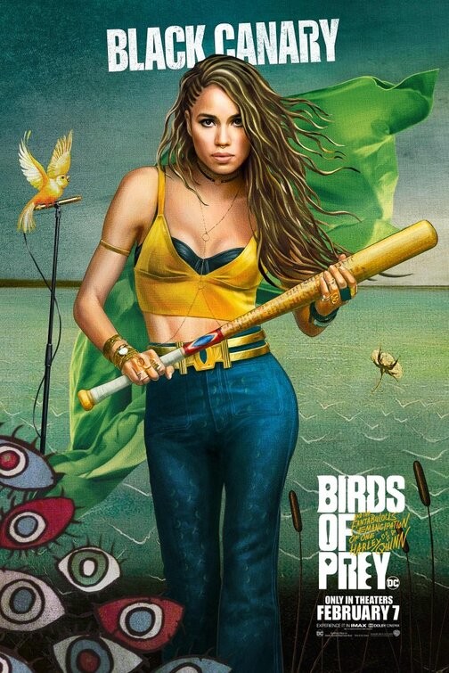 Хищные птицы: Потрясающая история Харли Квинн: постер N166089