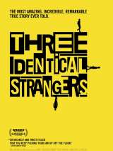 Превью постера #153232 к фильму "Три одинаковых незнакомца" (2018)
