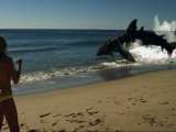 Превью кадра #154255 к фильму "Песчаные акулы" (2011)