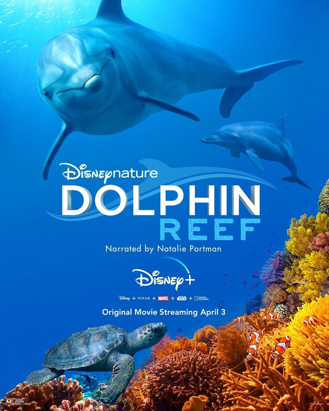 Дельфиний риф: постер N170015