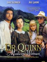 Превью постера #175433 к фильму "Доктор Куин: Женщина-врач" (1993)