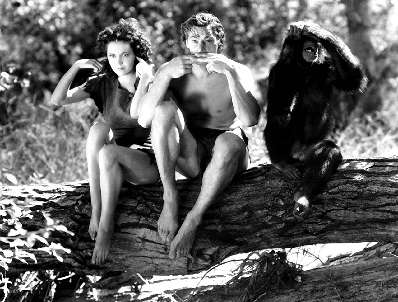 Тарзан: Человек-обезьяна: кадр N177991