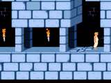 Превью скриншота #176791 к игре "Prince of Persia" (1989)