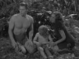 Превью кадра #178305 к фильму "Тарзан находит сына" (1939)
