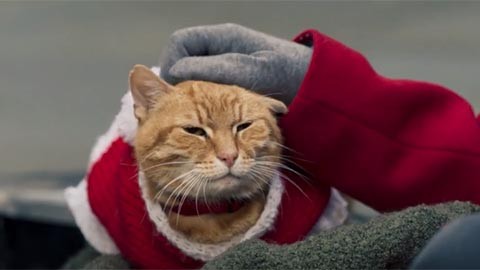 Дублированный трейлер фильма "Рождество кота Боба"