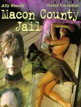 Превью постера #181770 к фильму "Тюрьма округа Мэкон" (1997)