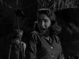 Превью кадра #195365 из фильма "Тварь из Черной Лагуны"  (1954)