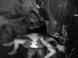 Превью кадра #195363 из фильма "Тварь из Черной Лагуны"  (1954)