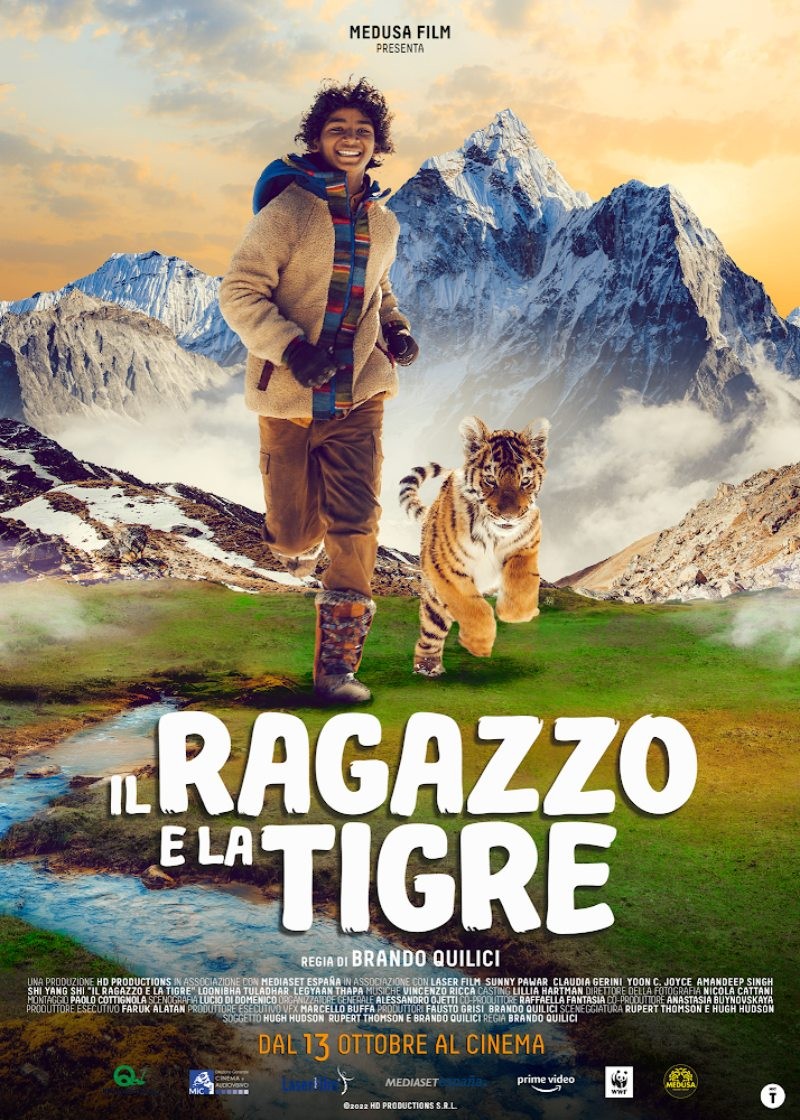 Мой тигр: постер N203722
