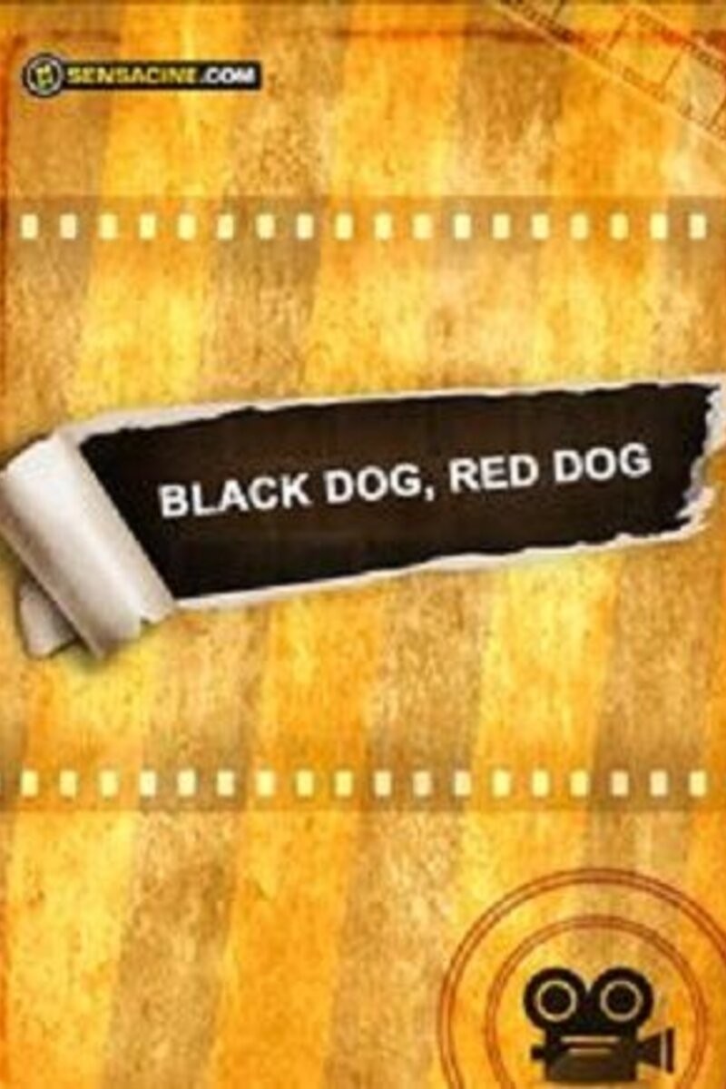 Черный пес, рыжий пес: постер N204437