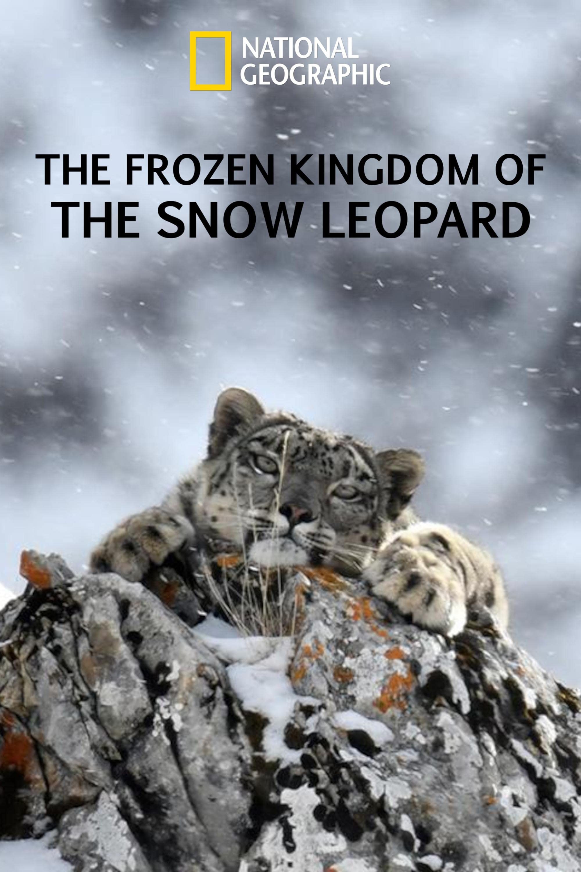 Холодное королевство снежного барса: постер N216703