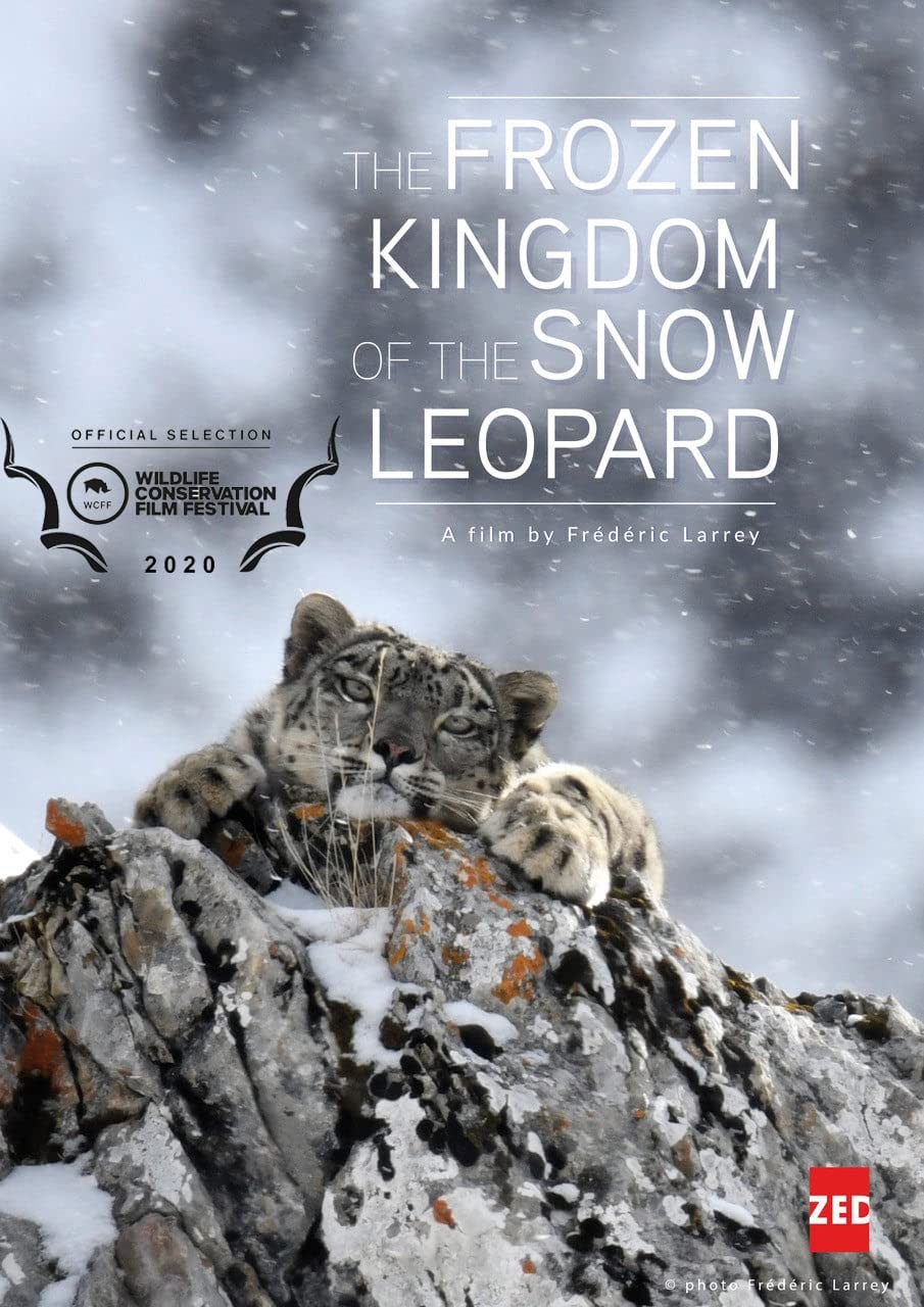 Холодное королевство снежного барса: постер N216704