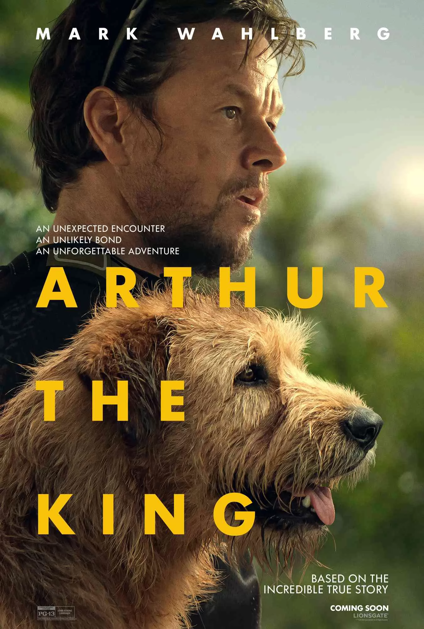 Артур, ты король: постер N228190