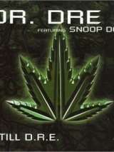 Превью постера #217589 к фильму "Dr. Dre feat. Snoop Dogg: Still D.R.E." (1999)
