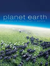Превью постера #222815 к фильму "BBC: Планета Земля" (2006)