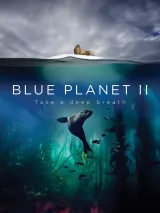 Превью постера #222830 к фильму "Голубая планета 2" (2017)