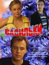 Превью постера #225369 к фильму "Васильки" (2013)