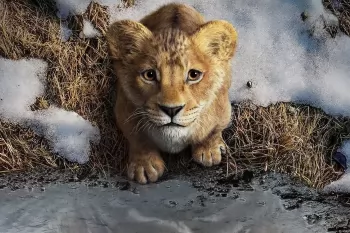 "Муфаса: Король лев". Первый трейлер, и что известно о проекте