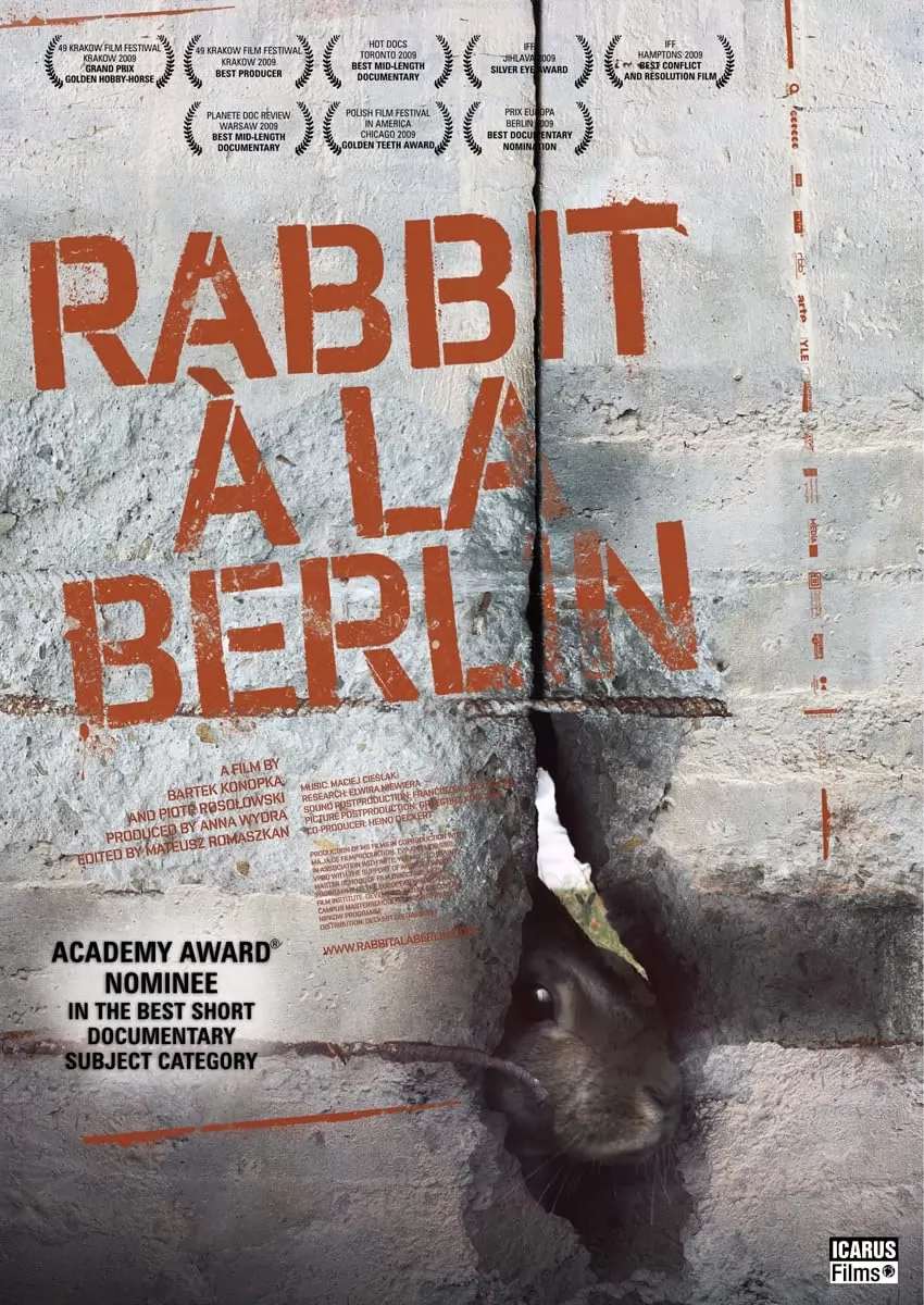 Кролик по-берлински: постер N230714