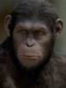 20th Century Fox назначила дату премьеры "Планеты обезьян 3"