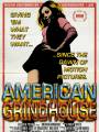 Постер к фильму "Американский грайндхаус"