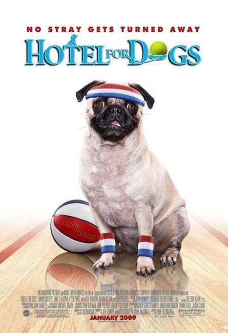 Отель для собак: постер N2128