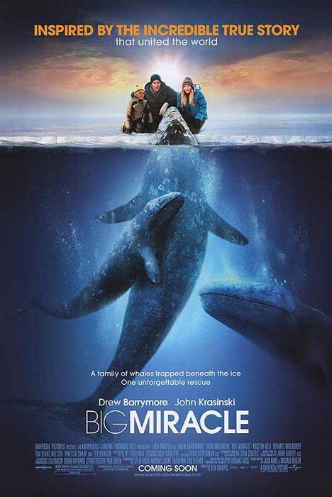 Все любят китов: постер N20602