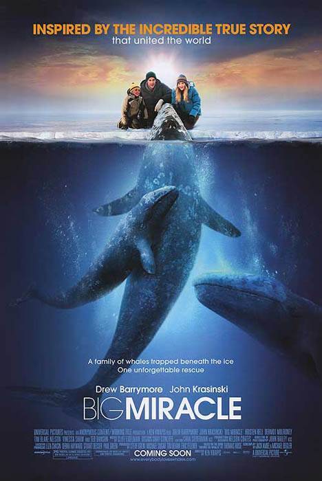 Все любят китов: постер N20820