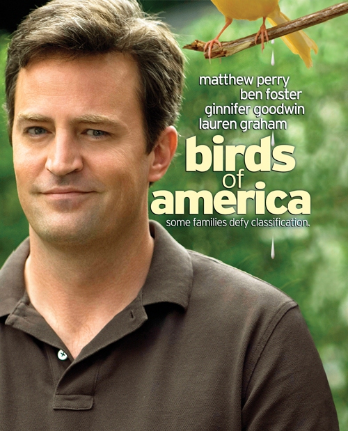 Птицы Америки: постер N33042