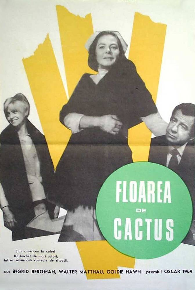 Цветок кактуса: постер N50873