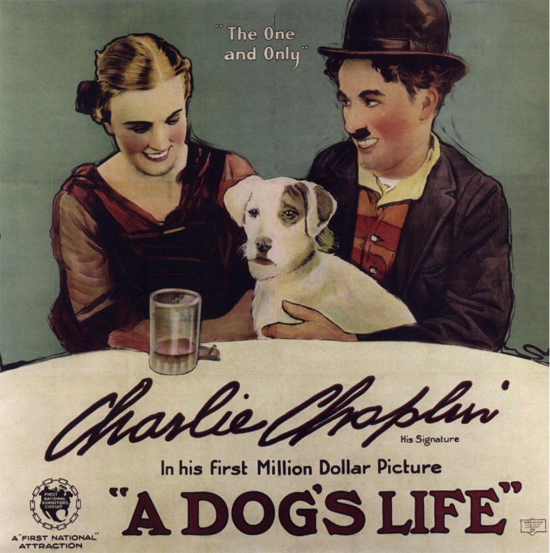Собачья жизнь: постер N53263