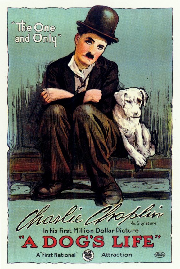 Собачья жизнь: постер N53267