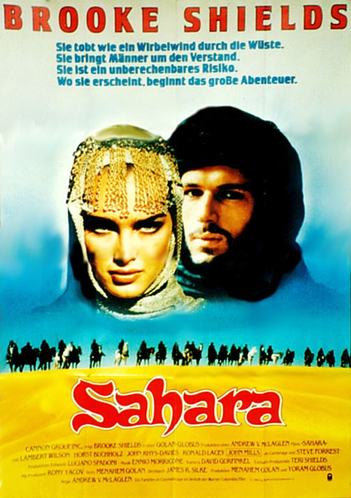Сахара: постер N63296